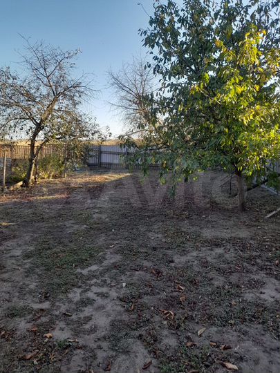 Дом 60,1 м² на участке 31 сот.