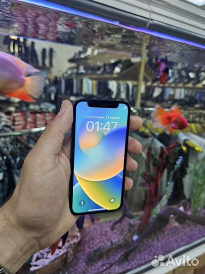 iPhone 12 mini, 64 ГБ