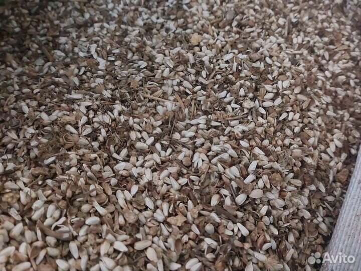 Корм для птиц и животных