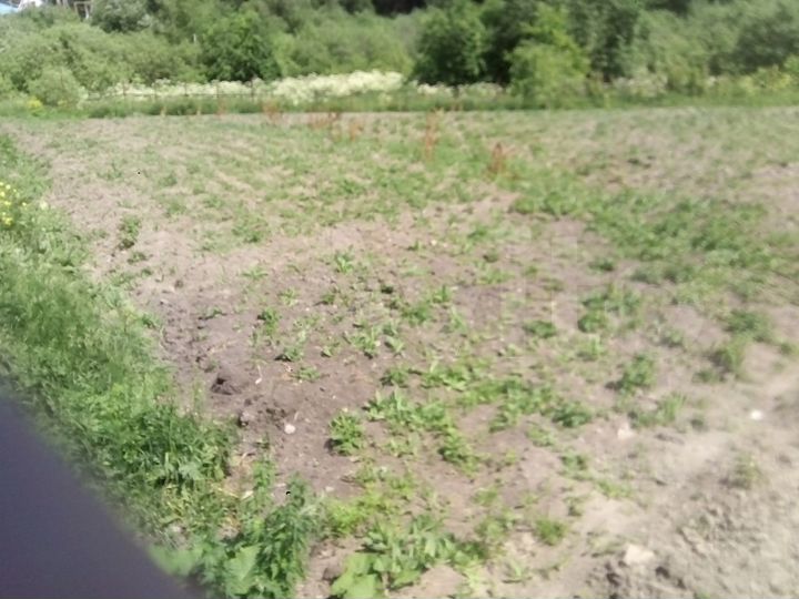 Участок 8,4 сот. (ИЖС)