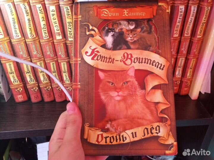 Книги коты воители 1 цикл, Манга