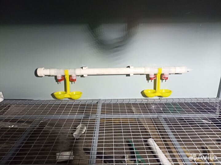 Брудер для цыплят новый