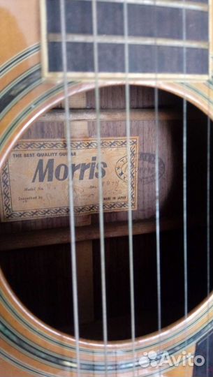 Акустическая гитара Morris