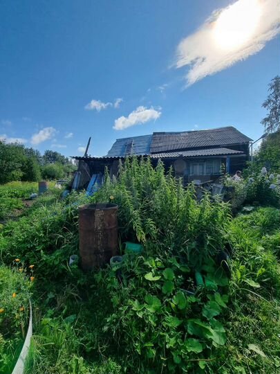 Дом 36,6 м² на участке 27 сот.