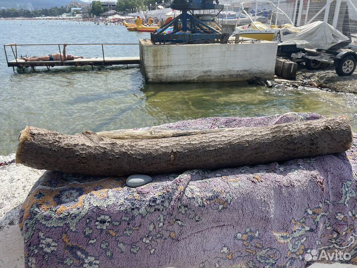 Топляк, морёное дерево, дрифтвуд, коряга