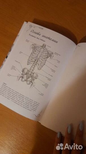 Полный курс рисования