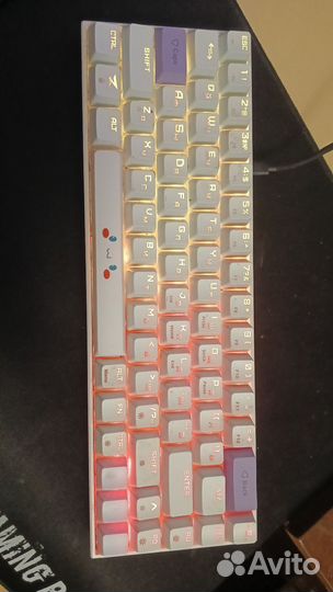 Zet gaming immortality mini