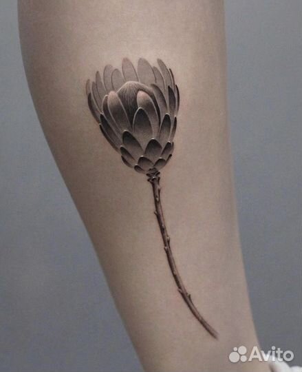 Модель на тату