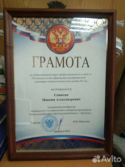 Борьба с тараканами, клопами, муравьями