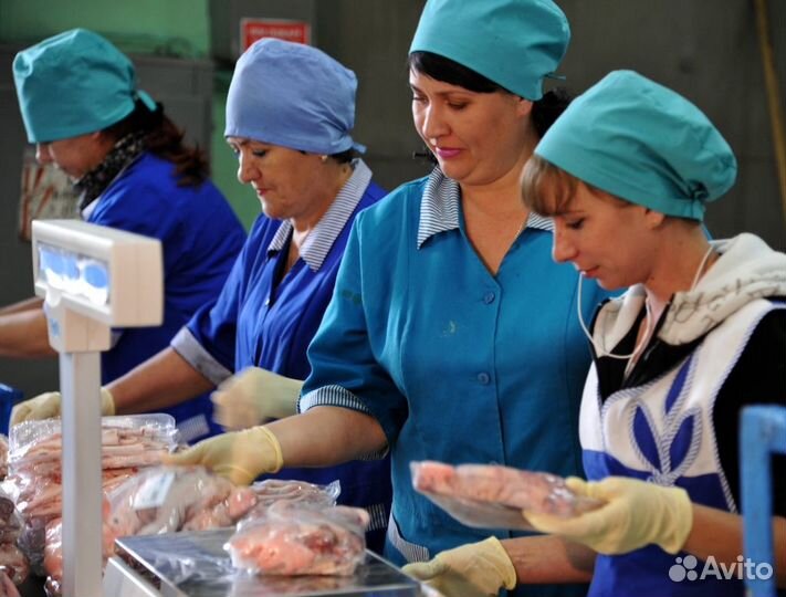 Место работы - птицефабрика Челябинск
