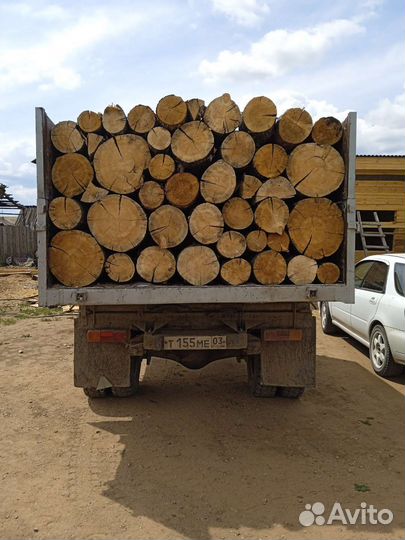 Дрова сосна, лиственница сырая