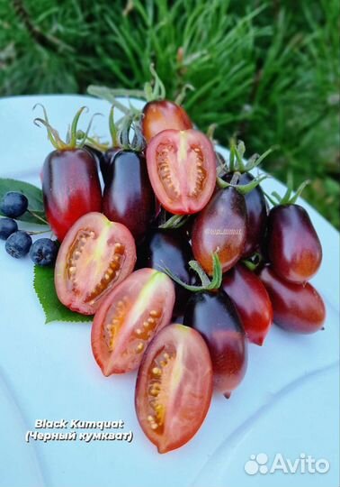 Семена томатов черри