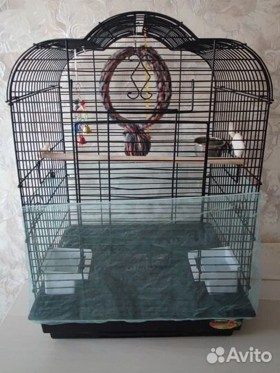 Клетка для попугая