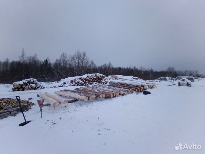 Окорщик, ученик плотника