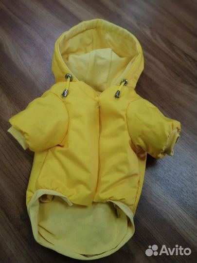 Одежда для собак мелких пород