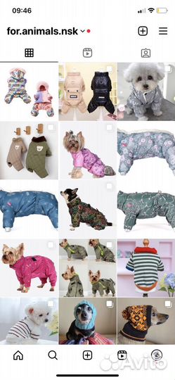 Одежда для собак и кошек всех пород