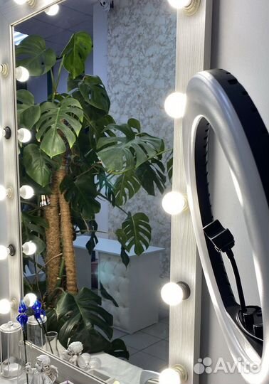 Мастер бровист