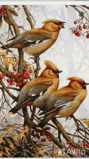 Схемы для вышивки крестиком