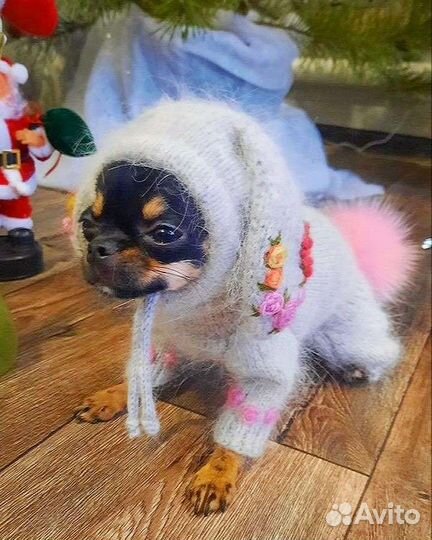 Вязаный комбинезон для собаки