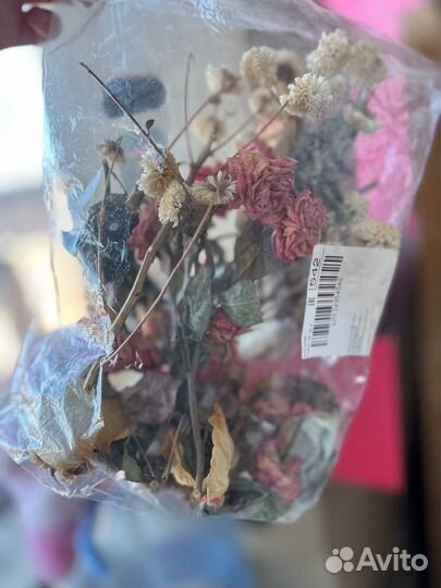 Сухоцветы для творчества розы цветы