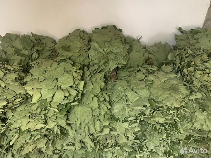 Веники банные дубовые