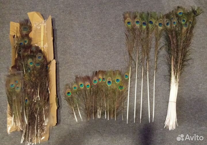 Перо павлина. много. разные