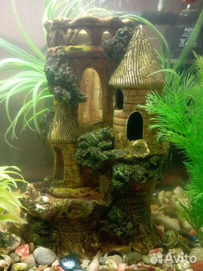 Продаётся Аквариум 20 л.со всеми принадлежностями