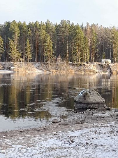 Участок 65 сот. (СНТ, ДНП)