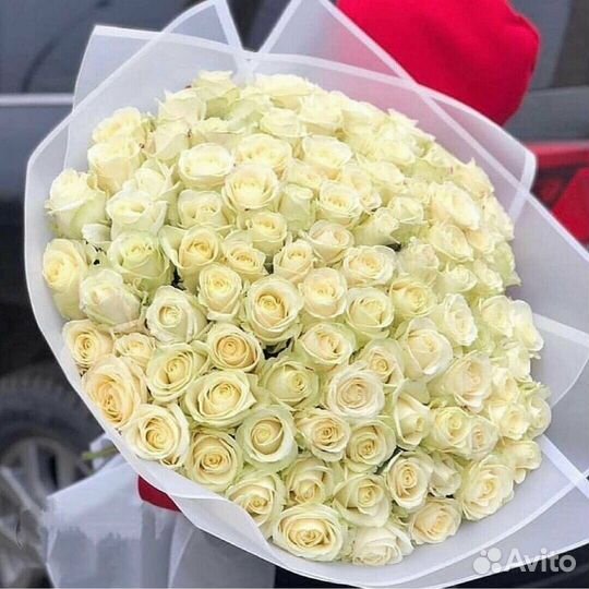 Цветы Белые розы