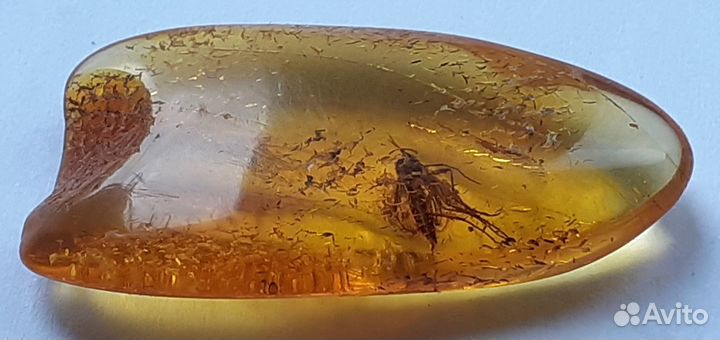Янтарь с инклюзами 5 шт