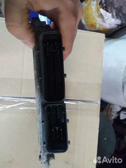 Эбу Мозги на skoda octavia a5