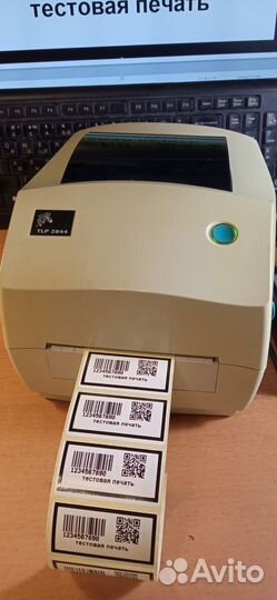 Термотрансферный принтер этикеток Zebra TLP2844
