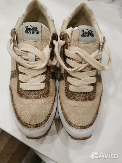 Кроссовки coach оригинал