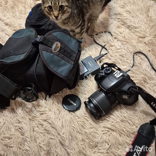 Зеркальный фотоаппарат Canon EOS 550D