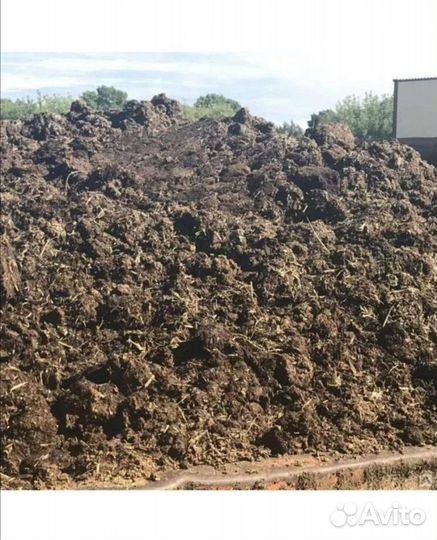 Навоз коровий