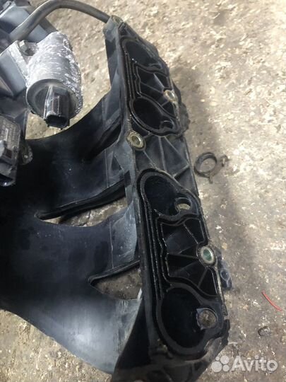 Впускной коллектор Ford Focus 1