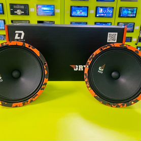 Эстрадная акустика DL Audio Gryphon Pro 200 SE