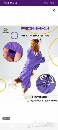 Дождевик для маленькой собаки Размер М