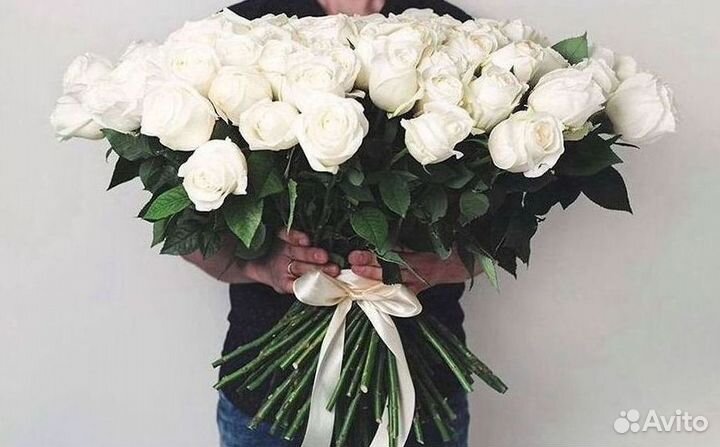 Розы Букеты Цветы Розы 31 101 151 201 Доставка