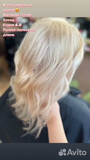 Требуются модели бесплатно