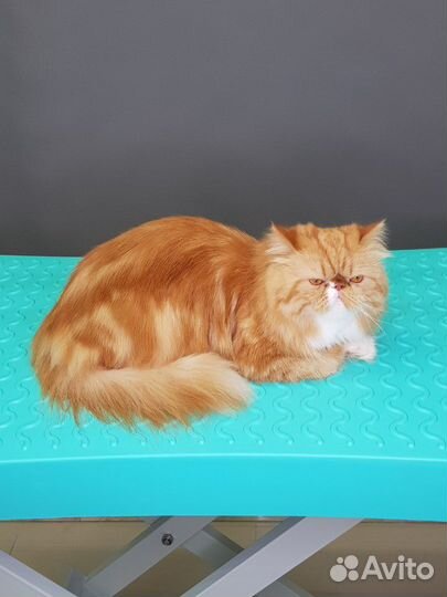 Котик для вязки