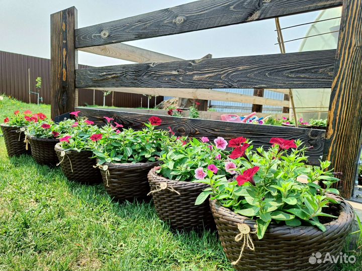 Кашпо для цветов