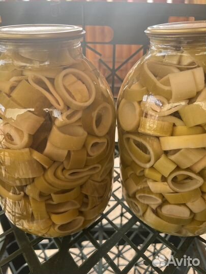 Продажи бамбук консервированный