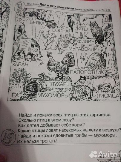 Рабочая тетрадь для дошкольников