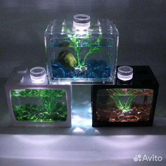 Аквариум, моримо кладофора, 4 удобрения