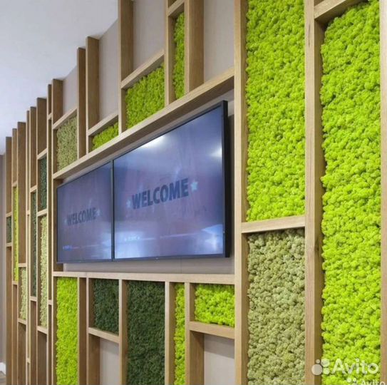 Стабилизированный мох ягель, пласт, кочка