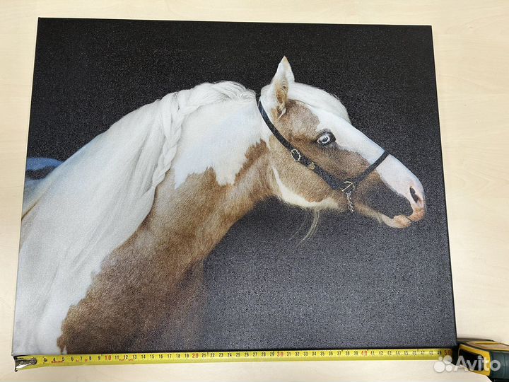 Картина на холсте лошадь
