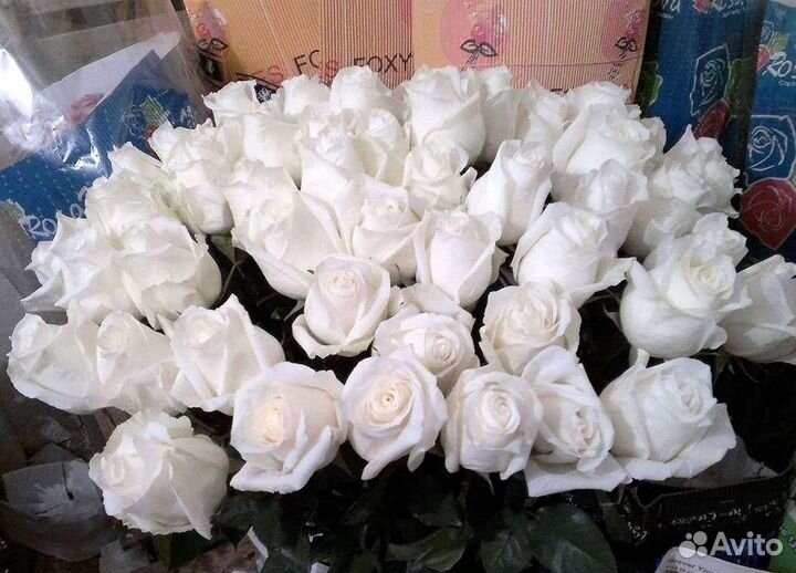 Высокие Высокие розы Гигантские розы Букеты Достав