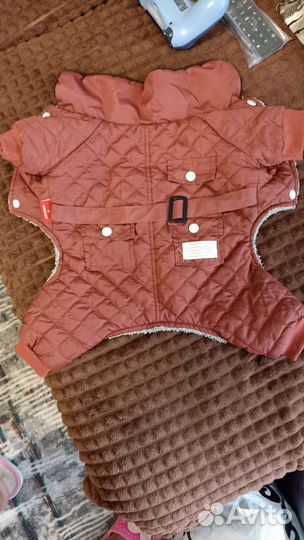 Одежда для собак мелких пород