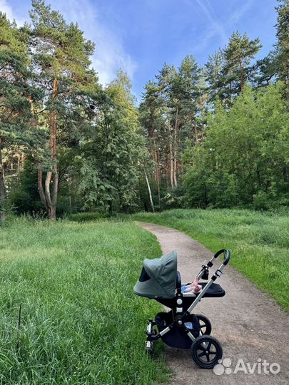 Коляска bugaboo cameleon 3 в 1